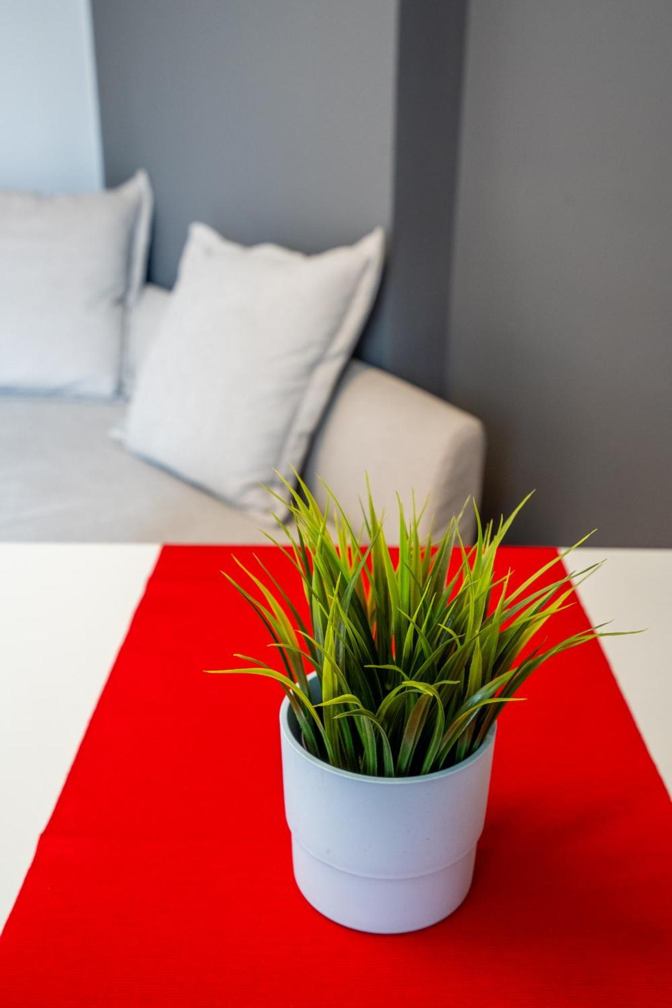 סופיה Downtown Apartment Eymi מראה חיצוני תמונה